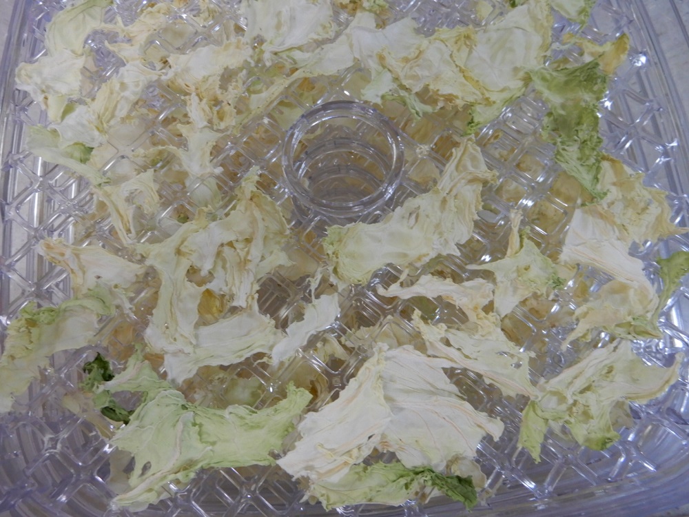 f:id:vegeta-garden:20201207214726j:plain