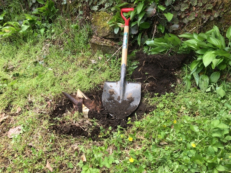 f:id:vegetable-garden:20220210072939j:plain