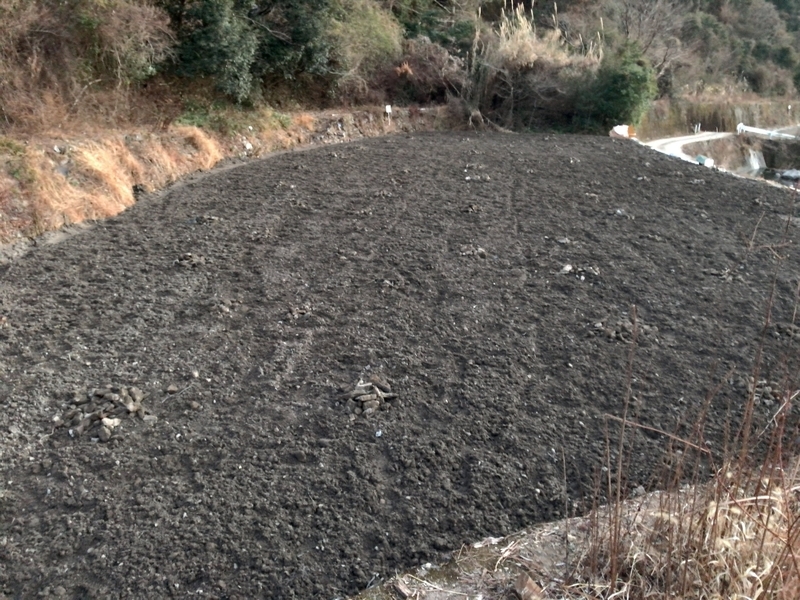 f:id:vegetable-garden:20220210221820j:plain
