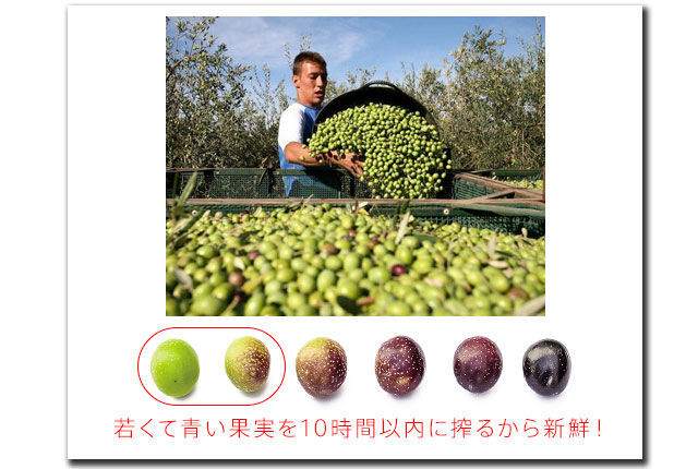 f:id:vegetarianman:20190313141929j:plain