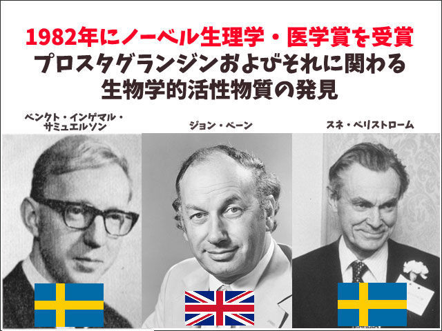 f:id:vegetarianman:20190417144551j:plain