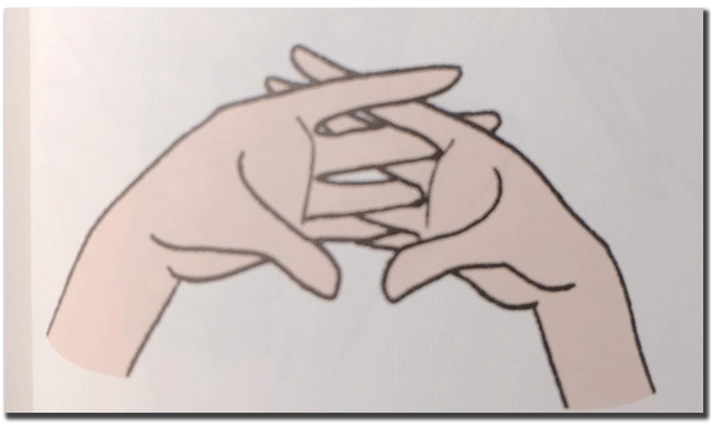 f:id:vegetarianman:20190424151652p:plain f:id:vegetarianman:20190424151652p:plain