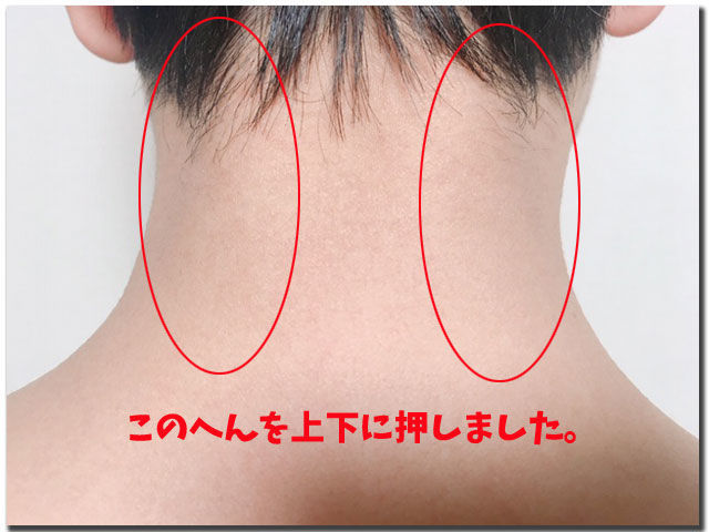 f:id:vegetarianman:20190426210637j:plain f:id:vegetarianman:20190426210637j:plain