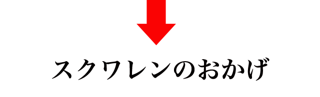 f:id:vegetarianman:20190513165952p:plain f:id:vegetarianman:20190513165952p:plain
