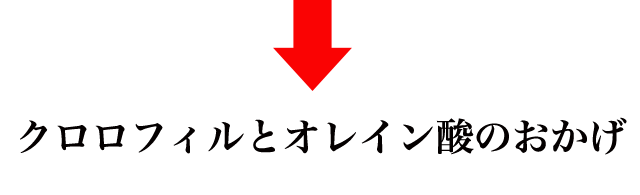 f:id:vegetarianman:20190513170642p:plain f:id:vegetarianman:20190513170642p:plain
