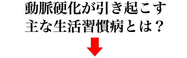 f:id:vegetarianman:20190513205542p:plain f:id:vegetarianman:20190513205542p:plain