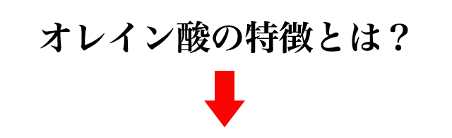 f:id:vegetarianman:20190513211304p:plain f:id:vegetarianman:20190513211304p:plain
