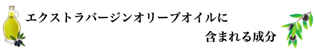 f:id:vegetarianman:20190514191225p:plain f:id:vegetarianman:20190514191225p:plain