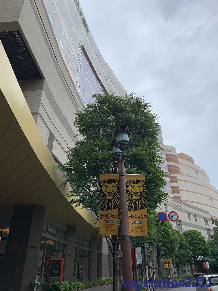 f:id:vegetation2211:20190529074728j:plain