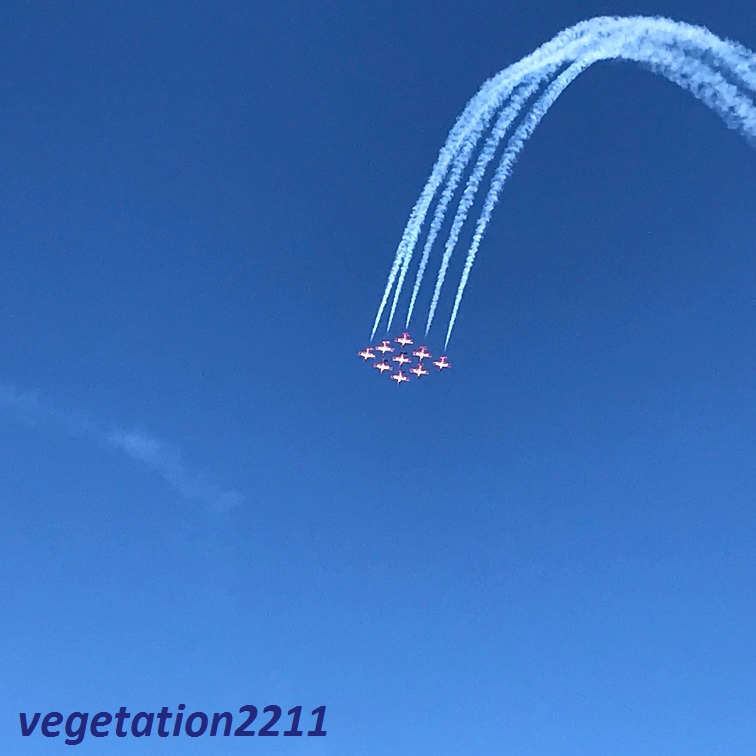 f:id:vegetation2211:20190530215532j:plain