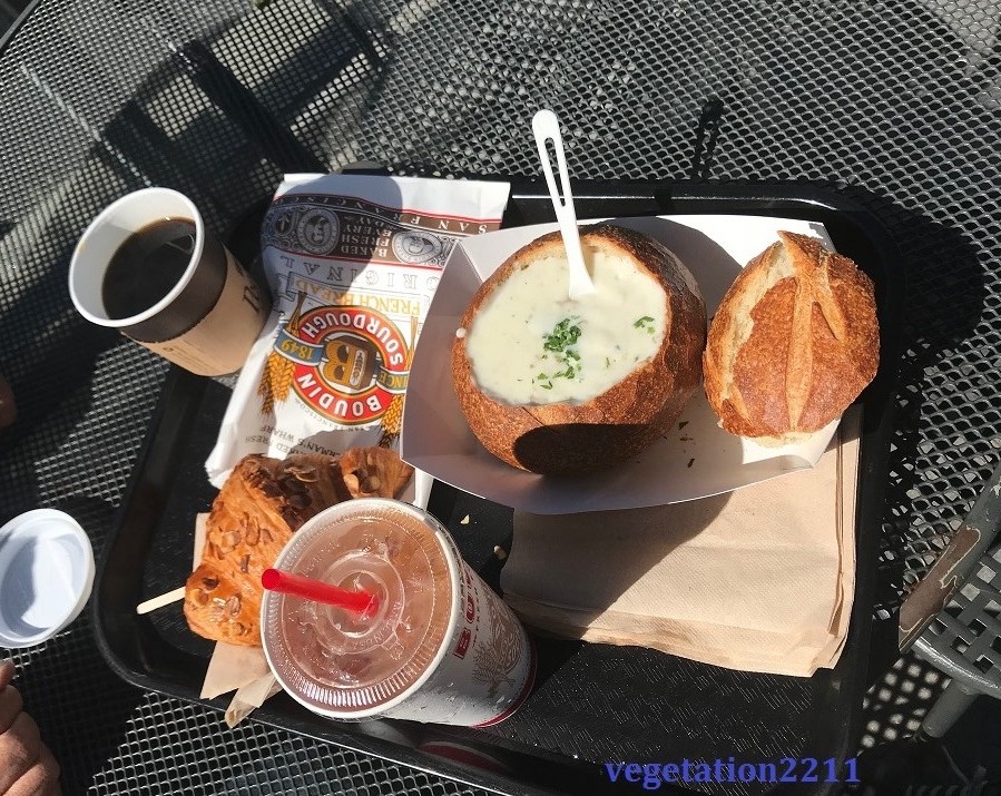 f:id:vegetation2211:20190604070529j:plain