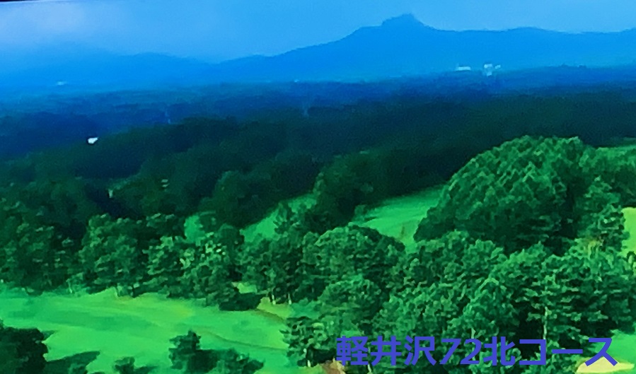 f:id:vegetation2211:20190817170507j:plain