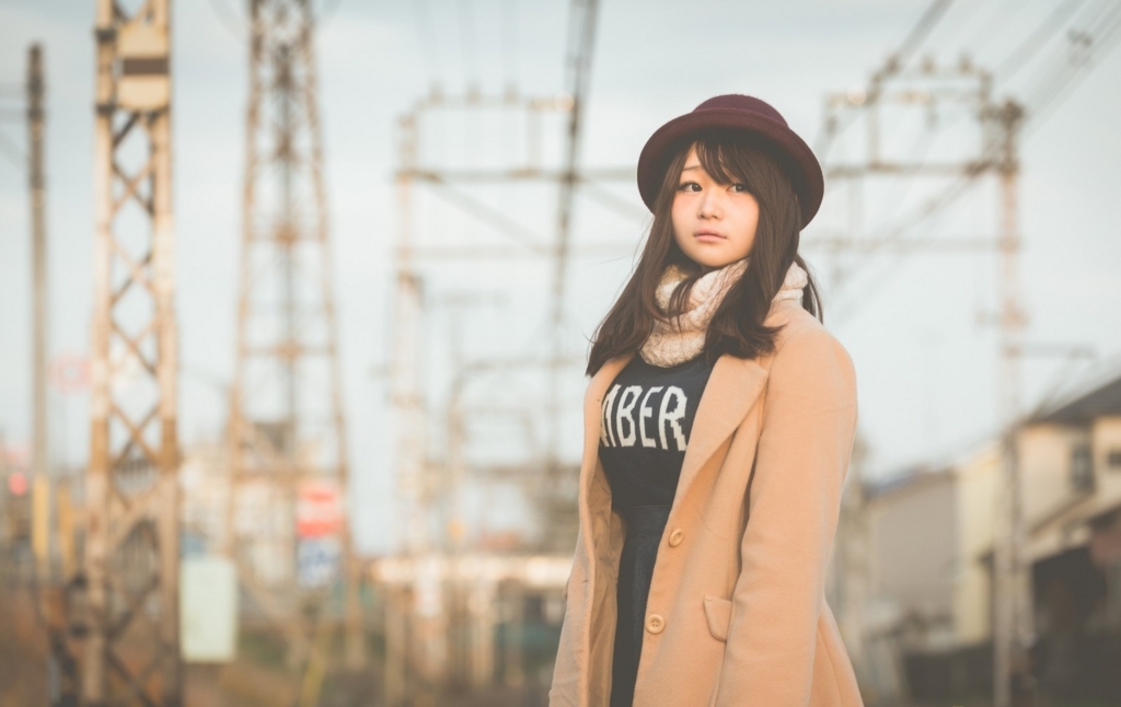 f:id:vegifurmiporin:20171011204304j:plain