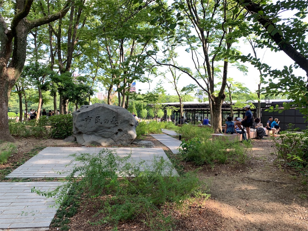 f:id:vegumnekun:20190711232032j:image