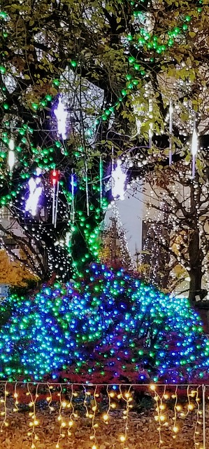 f:id:vendangeuse173028:20171208122146j:image