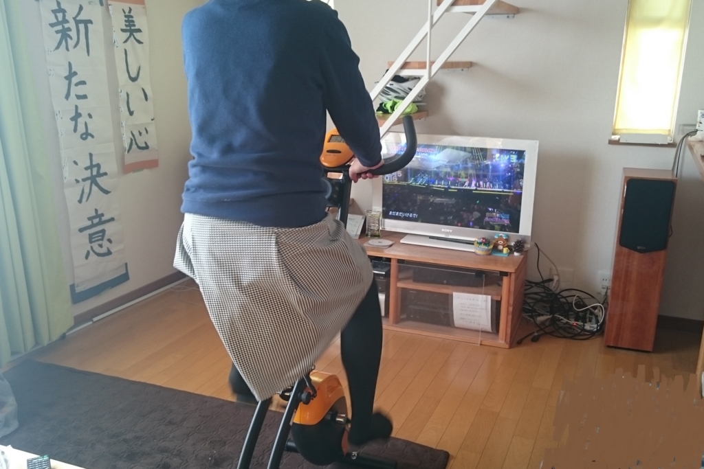 妻は何に目覚めたのか? - フィットネスバイク ⇒ 新製品出ました