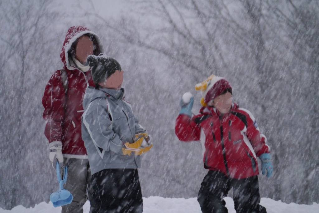 f:id:vent-de-shonan:20160502075530j:plain