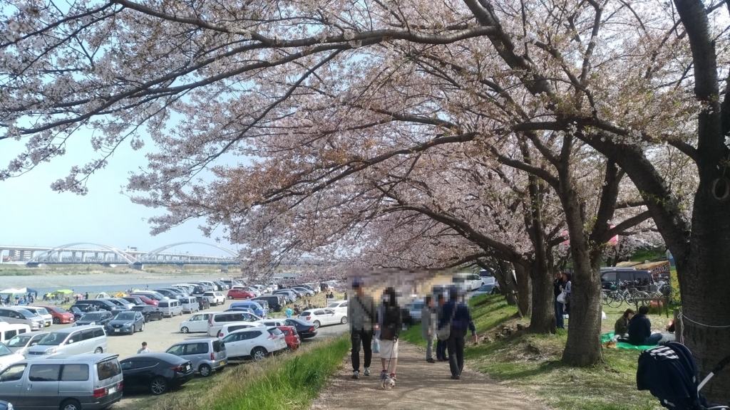 f:id:vent-de-shonan:20180401224025j:plain