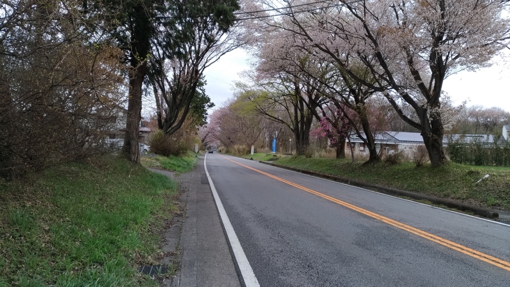 f:id:vent-de-shonan:20180408064044j:plain