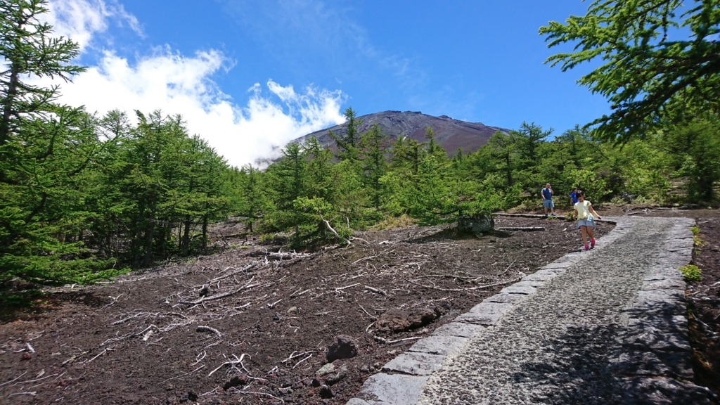 f:id:vent-de-shonan:20180707225405j:plain f:id:vent-de-shonan:20180707225405j:plain