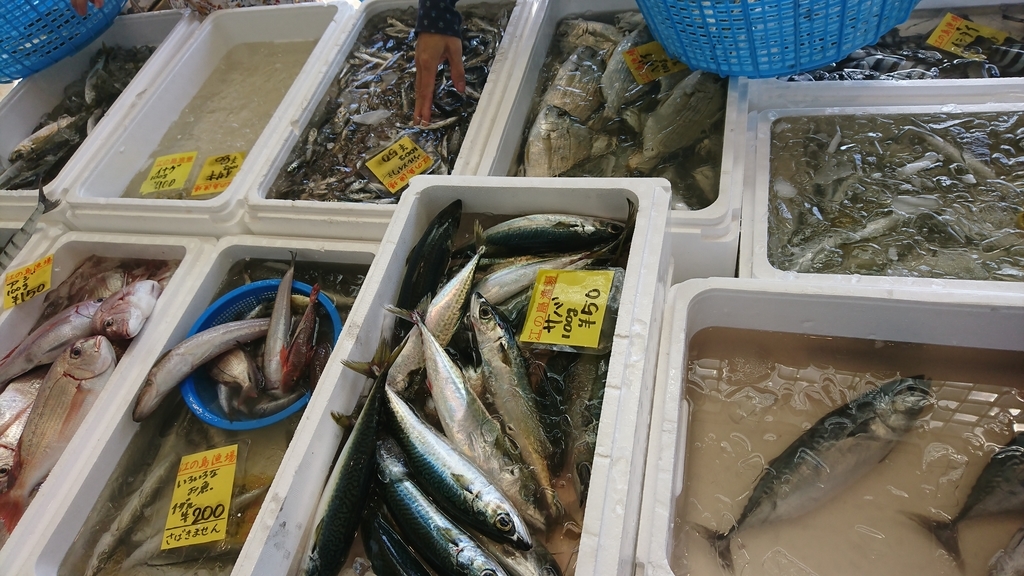 f:id:vent-de-shonan:20181021143054j:plain f:id:vent-de-shonan:20181021143054j:plain