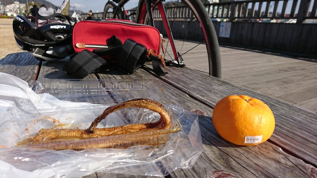 f:id:vent-de-shonan:20190104125210j:plain f:id:vent-de-shonan:20190104125210j:plain