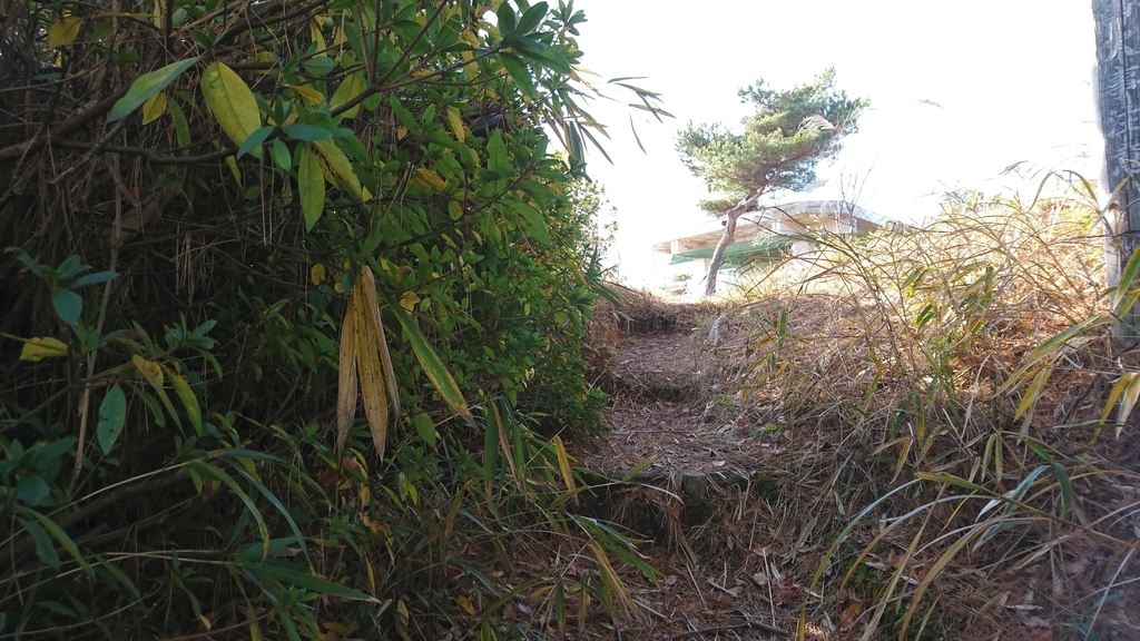 f:id:vent-de-shonan:20190104125516j:plain f:id:vent-de-shonan:20190104125516j:plain