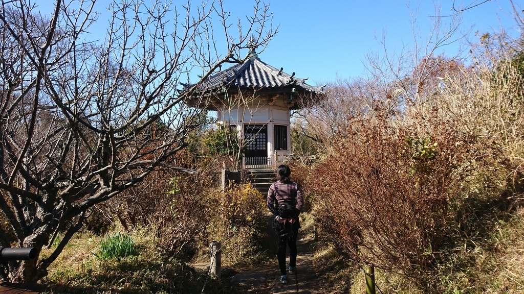 f:id:vent-de-shonan:20190122231248j:plain f:id:vent-de-shonan:20190122231248j:plain