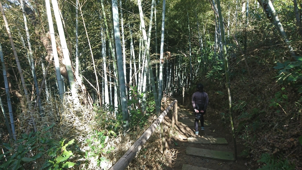 f:id:vent-de-shonan:20190122231256j:plain f:id:vent-de-shonan:20190122231256j:plain