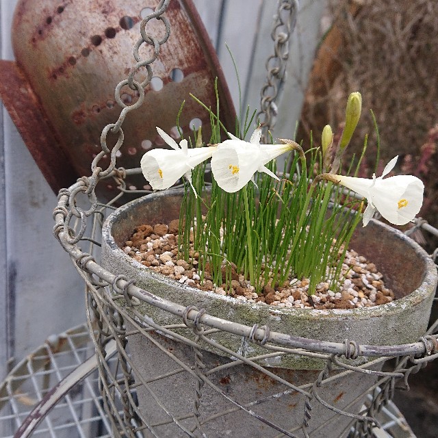 f:id:vento_kaorukaze:20220123232212j:image f:id:vento_kaorukaze:20220123232212j:image