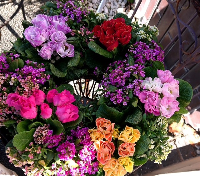 f:id:vento_kaorukaze:20220123232538j:image f:id:vento_kaorukaze:20220123232538j:image