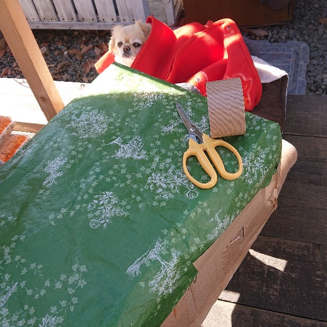 f:id:vento_kaorukaze:20220123232601j:image f:id:vento_kaorukaze:20220123232601j:image