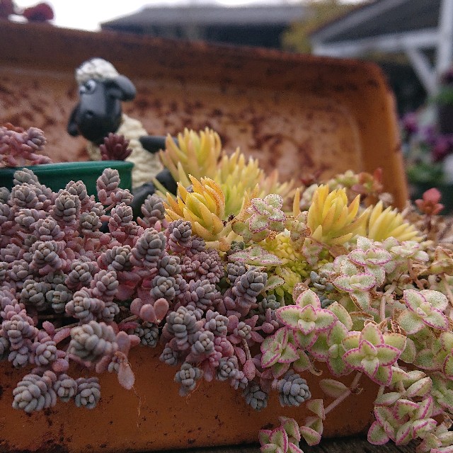 f:id:vento_kaorukaze:20220123232748j:image f:id:vento_kaorukaze:20220123232748j:image