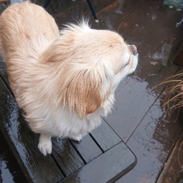 f:id:vento_kaorukaze:20220123232931j:image f:id:vento_kaorukaze:20220123232931j:image