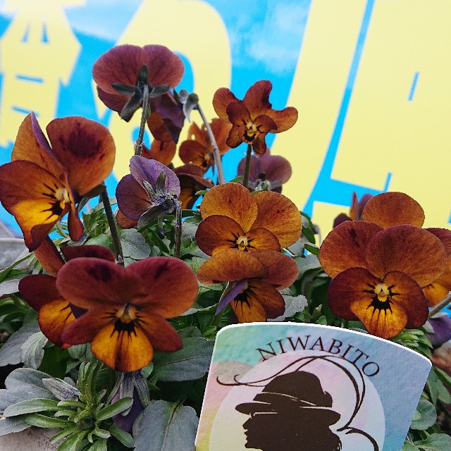 f:id:vento_kaorukaze:20220123234006j:image f:id:vento_kaorukaze:20220123234006j:image