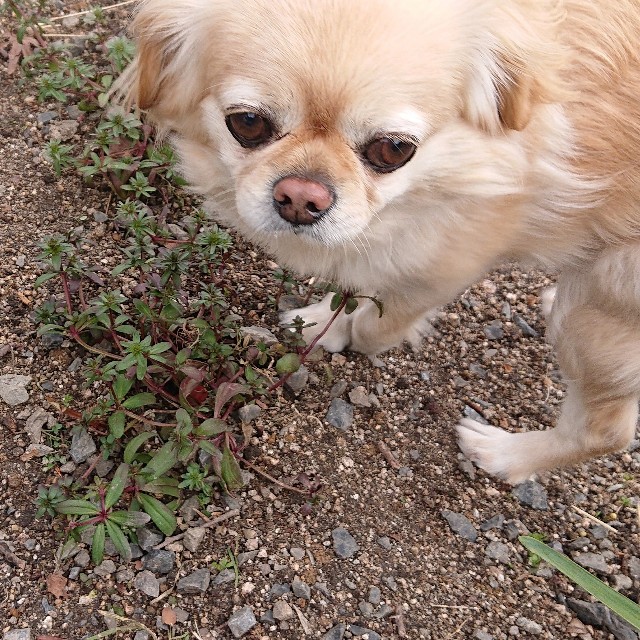 f:id:vento_kaorukaze:20220125022320j:image f:id:vento_kaorukaze:20220125022320j:image