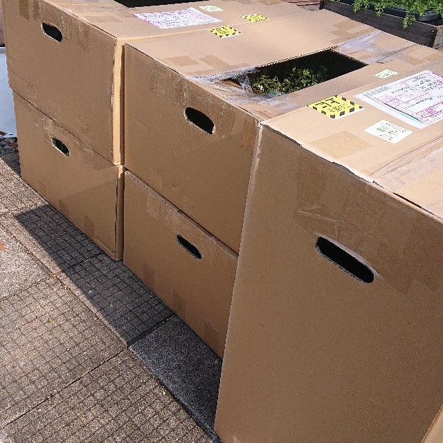 f:id:vento_kaorukaze:20220127231837j:image f:id:vento_kaorukaze:20220127231837j:image