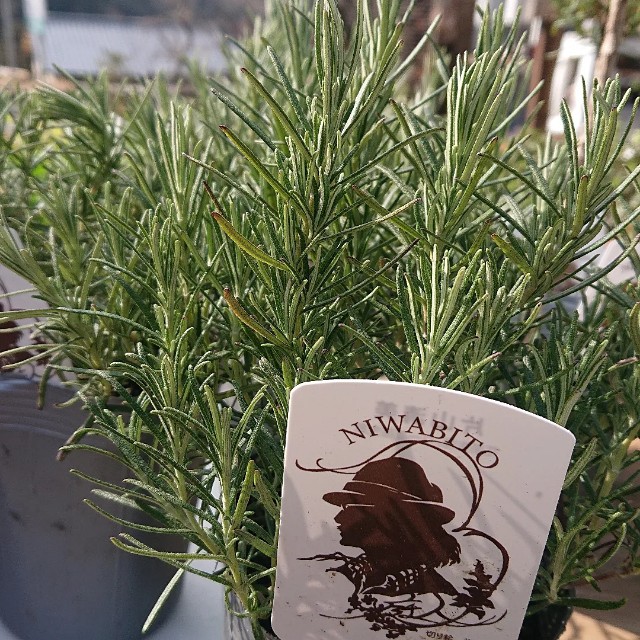 f:id:vento_kaorukaze:20220127232126j:image f:id:vento_kaorukaze:20220127232126j:image