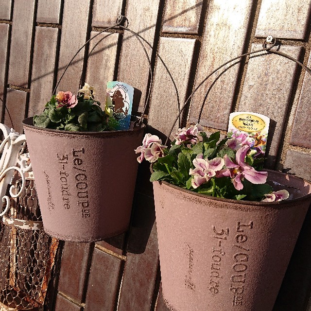 f:id:vento_kaorukaze:20220130230931j:image f:id:vento_kaorukaze:20220130230931j:image