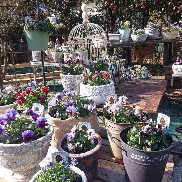 f:id:vento_kaorukaze:20220207215733j:image f:id:vento_kaorukaze:20220207215733j:image