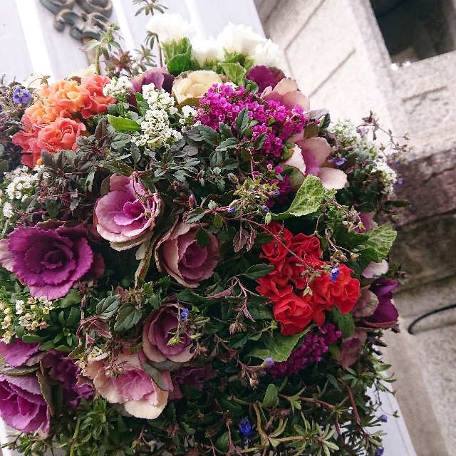 f:id:vento_kaorukaze:20220207220000j:image f:id:vento_kaorukaze:20220207220000j:image