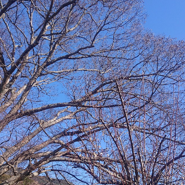 f:id:vento_kaorukaze:20220207220036j:image f:id:vento_kaorukaze:20220207220036j:image