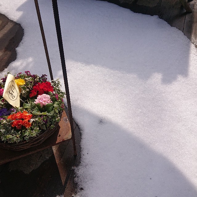 f:id:vento_kaorukaze:20220219004255j:image f:id:vento_kaorukaze:20220219004255j:image