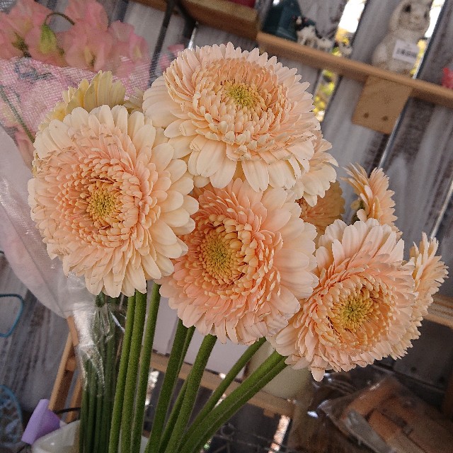 f:id:vento_kaorukaze:20220219010028j:image f:id:vento_kaorukaze:20220219010028j:image