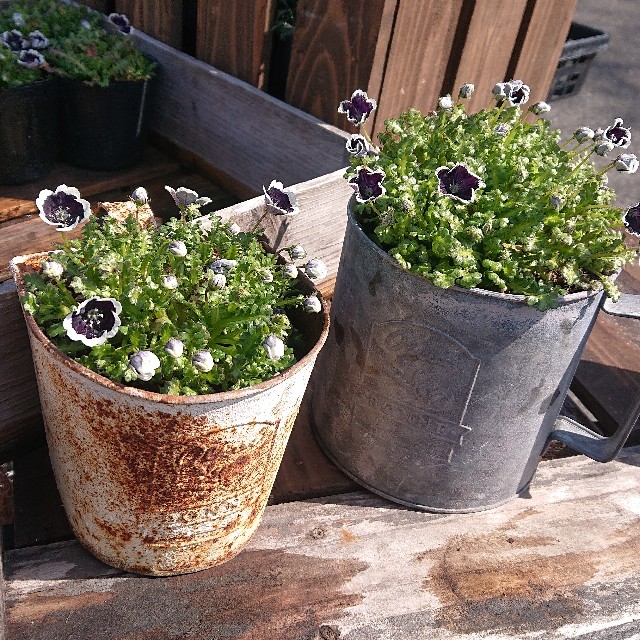 f:id:vento_kaorukaze:20220219010207j:image f:id:vento_kaorukaze:20220219010207j:image