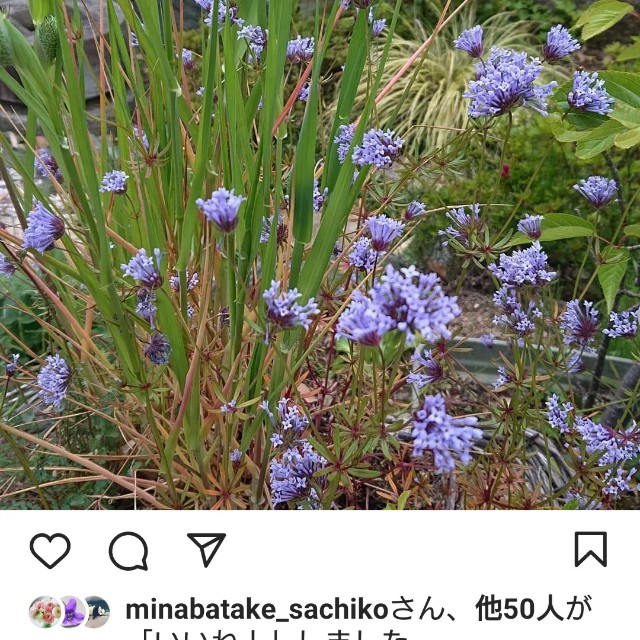 f:id:vento_kaorukaze:20220219010512j:image f:id:vento_kaorukaze:20220219010512j:image