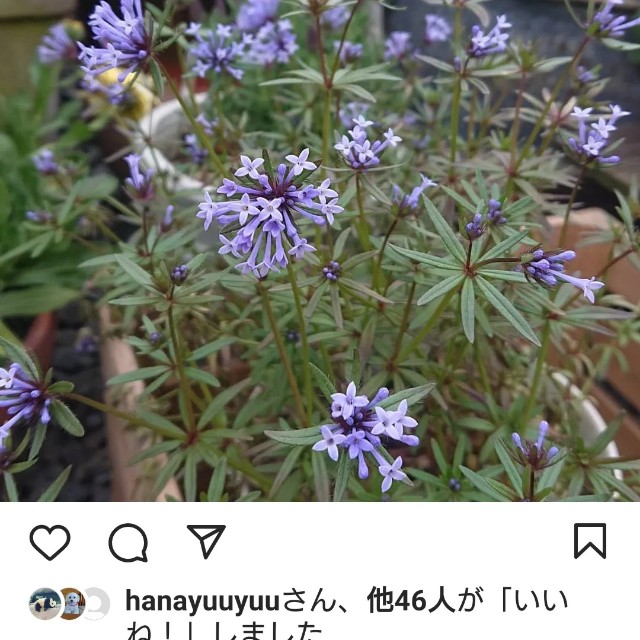 f:id:vento_kaorukaze:20220219010523j:image f:id:vento_kaorukaze:20220219010523j:image