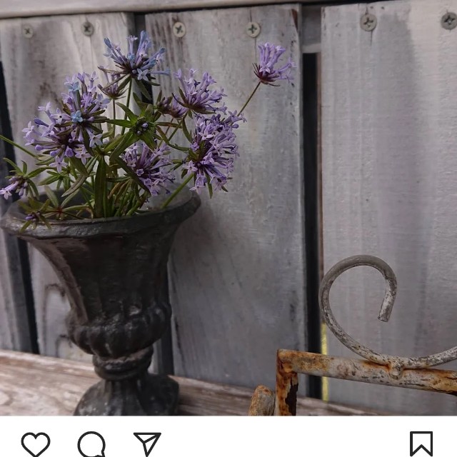 f:id:vento_kaorukaze:20220219010557j:image f:id:vento_kaorukaze:20220219010557j:image