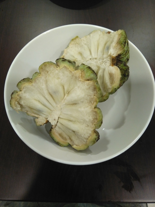 f:id:vento_str:20181229230710j:plain f:id:vento_str:20181229230710j:plain