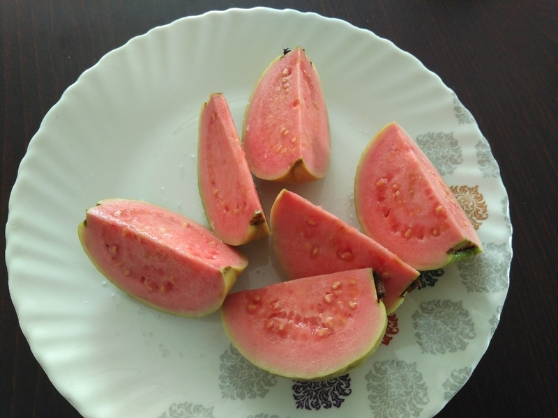 f:id:vento_str:20190123015555j:plain f:id:vento_str:20190123015555j:plain